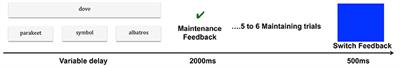 Age-Related Brain Activation Changes during Rule Repetition in Word-Matching